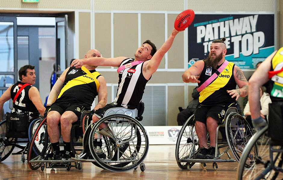 VWFL_GF.png